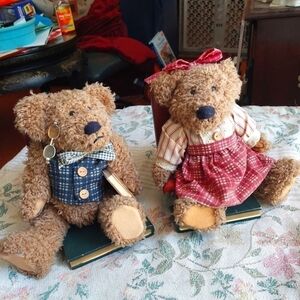 "Books are Fun" Teddy Bear Bookends